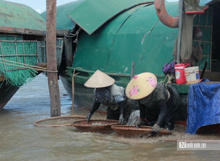 Khoảng 15h mỗi ngày, thuyền đánh bắt trở về bến, hến, dắt lại được đổ đầy thúng tre, ngâm trong nước sông cho nhả bùn. Đây là lúc những người phụ nữ dầm mình trong nước, dùng rổ, rá hay thúng tre đựng hến rồi khuấy đều tay theo chiều kim đồng hồ.