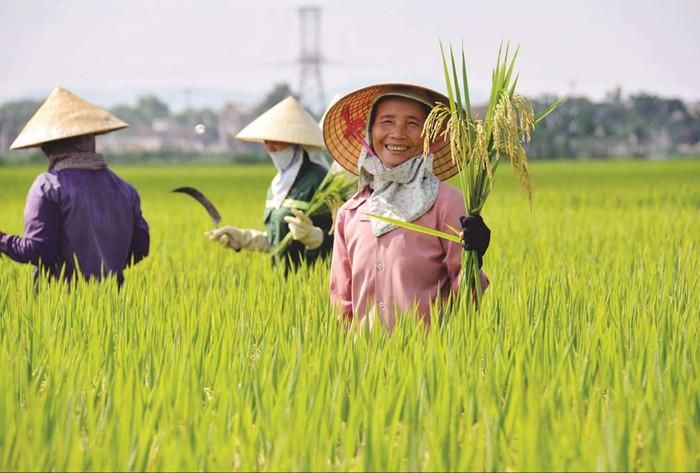 Người dân Nghệ An với nụ cười hồn hậu.