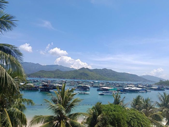 Cận cảnh một số bè nổi tự phát mọc lên rải rác quanh đảo Trí Nguyên