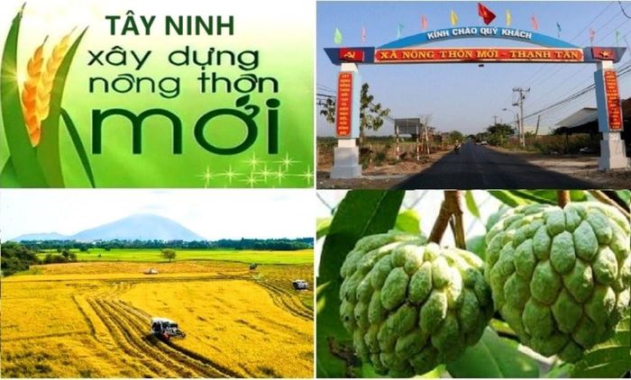 Tây Ninh tăng tốc xây dựng nông thôn mới với nguồn lực hơn 17.400 tỷ đồng.