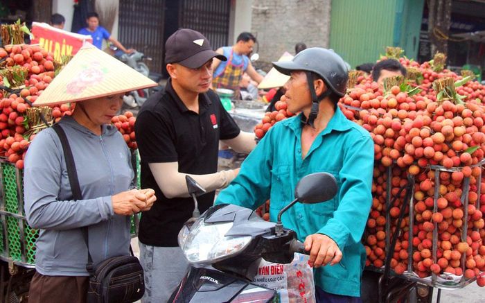  Vải thiều chính vụ tại Tân Sơn cho thu hoạch từ giữa tháng 6 đến đầu tháng 7. 