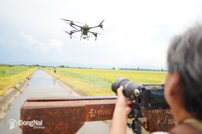Các nghệ sĩ nhiếp ảnh lăn xả tại hiện trường, bắt khoảnh khắc drone bay để phun thuốc tại ruộng lúa nhằm “săn” được góc ảnh độc đáo nhất.