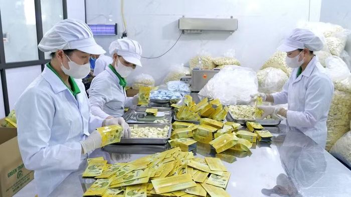  Sản phẩm sầu riêng sấy thăng hoa của Công ty cổ phần Chế biến xuất nhập khẩu Green Tropical. Ảnh: Quang Tấn 
