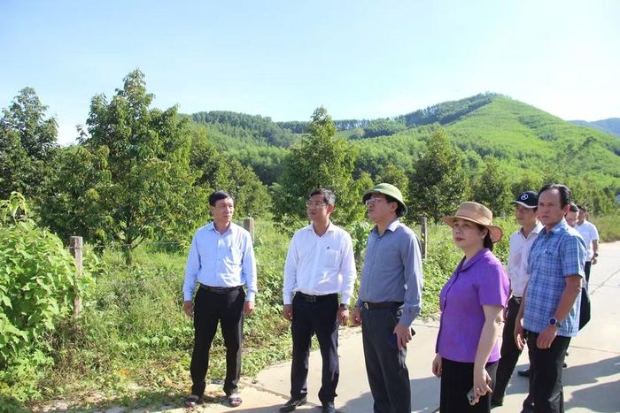  Chủ tịch UBND tỉnh Phạm Anh Tuấn (thứ 3 từ trái sang) kiểm tra khu trồng cây ăn quả Đồng Đập (thôn Phú Văn, xã Ân Tường) với mô hình trồng sầu riêng, bưởi da xanh kết hợp cà phê. Ảnh: Trọng Lợi 
