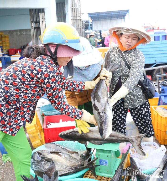Người dân mua bán hải sản tại cảng cá Đông Hải. Ảnh: VĂN NỶ