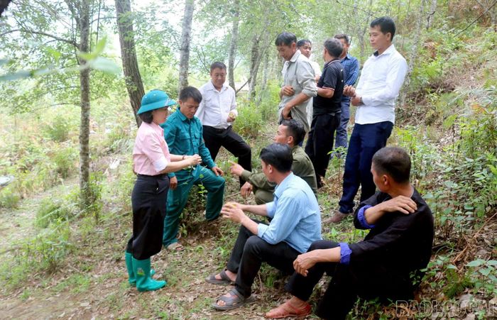 Thông qua mô hình "2 giờ làm nông dân", lãnh đạo và cán bộ xã Lao Chải bám sát cơ sở, qua đó tuyên truyền, vận động bà con chuyển đổi cơ cấu cây trồng, đưa chủ trương vào thực tiễn một cách thiết thực, hiệu quả.