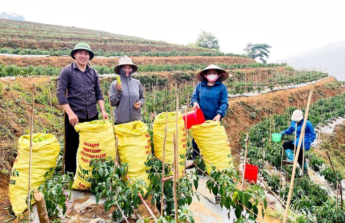 Niềm vui của cán bộ và người dân xã Lao Chải bên những bao nông sản đầy ắp, minh chứng cho sự thành công bước đầu của mô hình liên kết sản xuất hàng hóa tại địa phương.