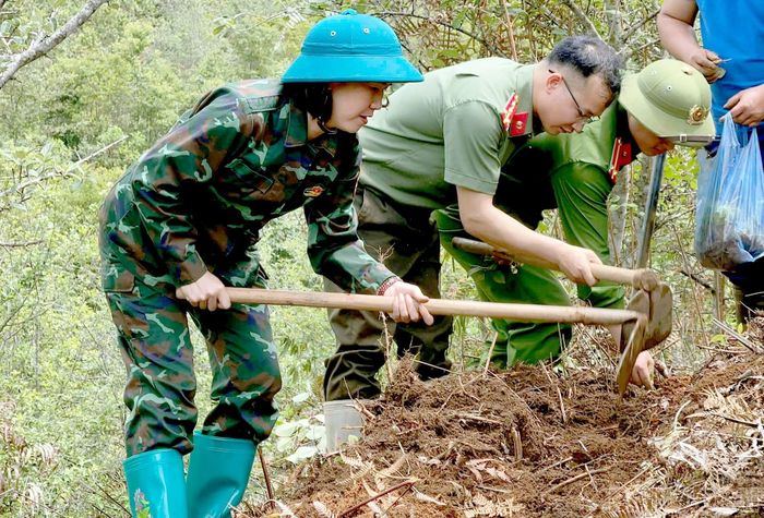 Lãnh đạo, cán bộ và công chức xã Lao Chải trực tiếp tham gia cuốc, làm đất trên nương đồi, hỗ trợ người dân mở rộng diện tích cây trồng mới.