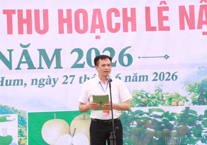 Ông Nguyễn Ngọc Minh, Phó Bí thư Đảng ủy, Chủ tịch UBND xã Mường Hum phát biểu khai mạc Tuần lễ trải nghiệm thu hoạch lê Nậm Pung.
