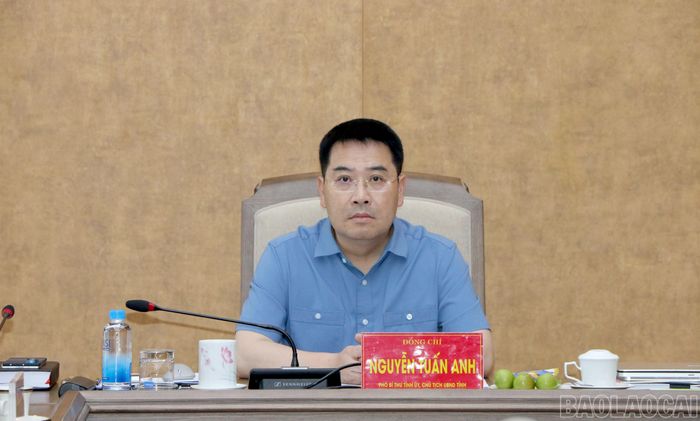 Đồng chí Nguyễn Tuấn Anh - Phó Bí thư Tỉnh ủy, Chủ tịch UBND tỉnh chủ trì tại điểm cầu tỉnh Lào Cai.