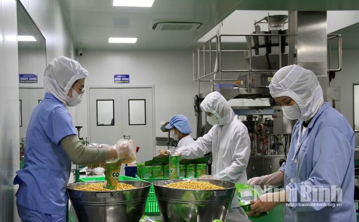 Công nhân Công ty TNHH MTV Minh Dương đóng gói sản phẩm ngô nếp tươi sấy đạt chuẩn OCOP 5 sao.