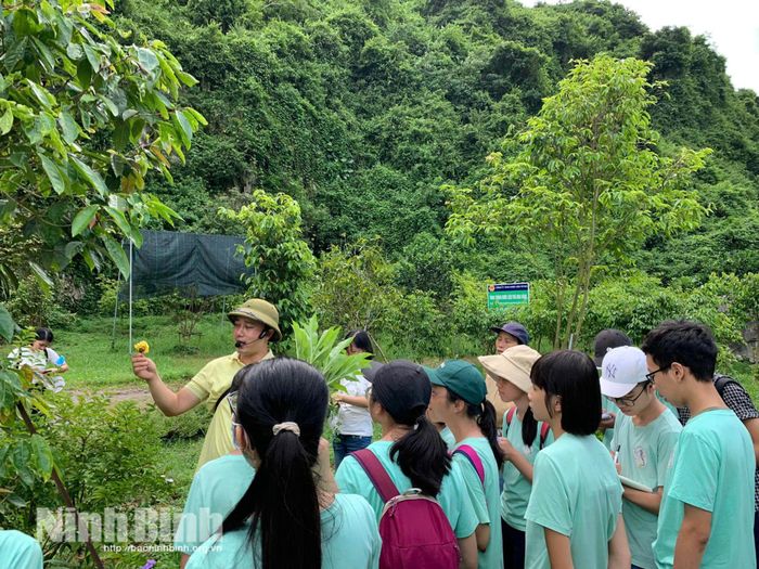 Công ty TNHH Dược liệu Vũ Gia phát triển sản phẩm OCOP gắn với bảo tồn đa dạng sinh học, thúc đẩy du lịch trải nghiệm