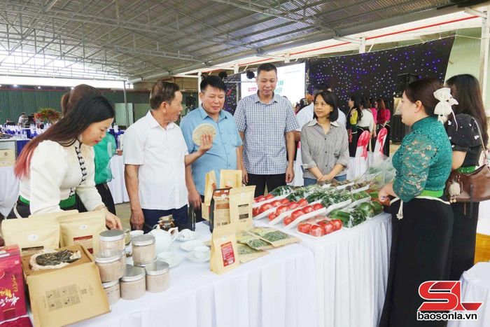 Các đại biểu tham quan các gian hàng trưng bày tại tọa đàm.