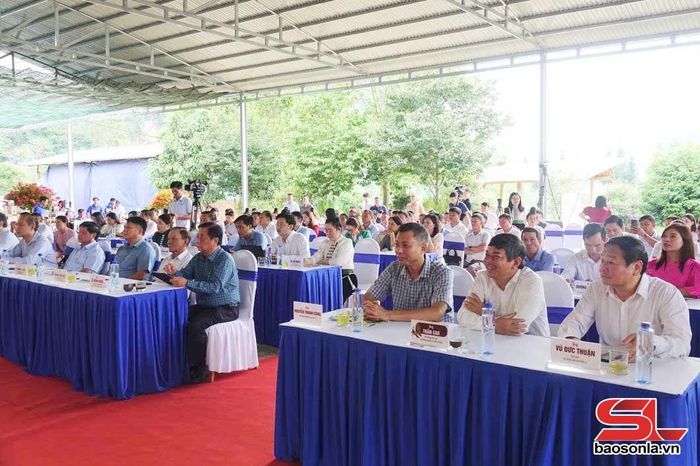 Các đại biểu dự tọa đàm.