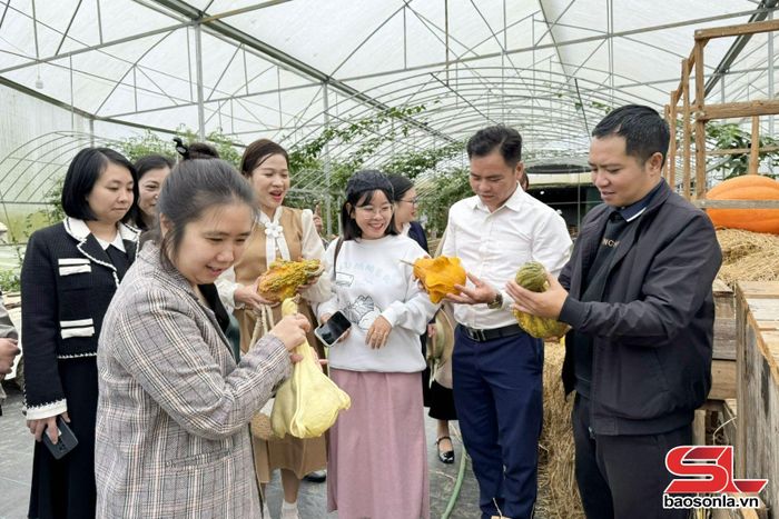 Du khách trải nghiệm mô hình nông nghiệp tuần hoàn tại Lỏi Tươi Farm. Ảnh: PV