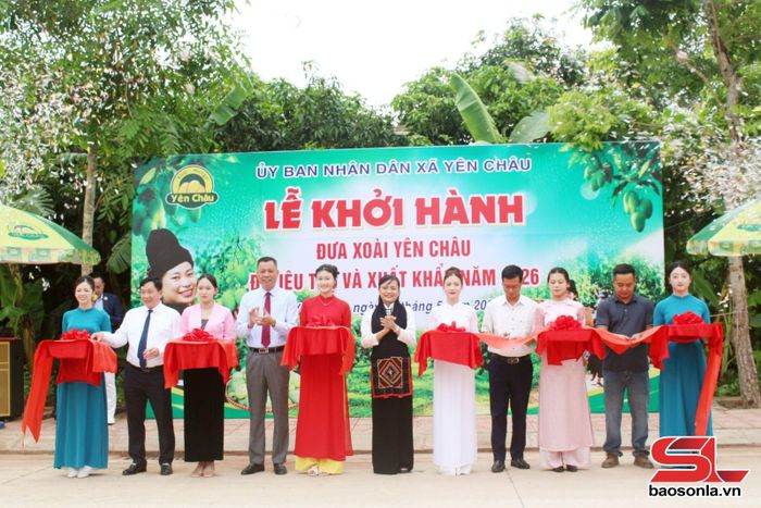 Các đại biểu cắt băng khởi hành đưa xoài Yên Châu đi tiêu thụ và xuất khẩu. Ảnh: PV