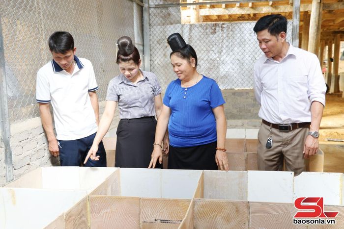 Mô hình trồng dúi của hộ ông Lường Văn Tom.