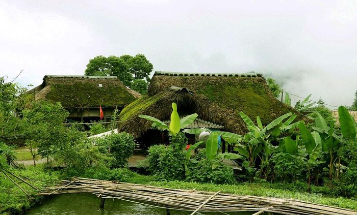 Có những ngôi nhà tuổi đời từ 20 - 30 năm phủ dày rêu phong.