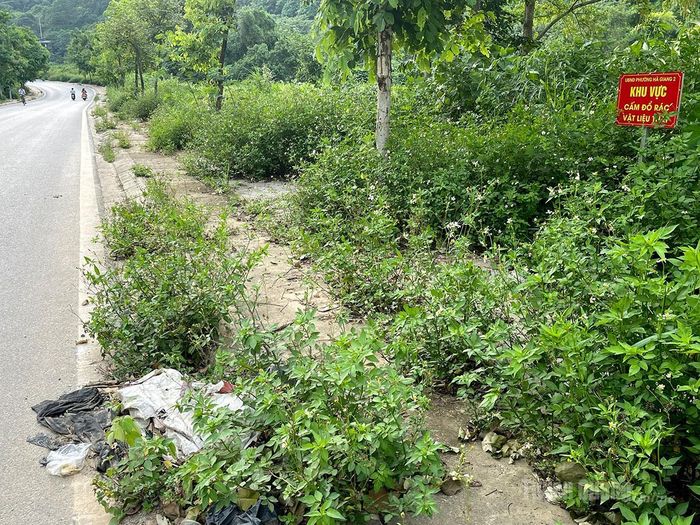 Tại khu vực có biển cấm đổ rác vẫn xuất hiện rác thải và cỏ dại mọc um tùm, làm nhếch nhác cảnh quan đô thị.