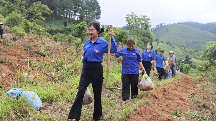 Cán bộ, chiến sĩ cùng đoàn viên thanh niên xã Tu Mơ Rông tích cực hỗ trợ bà con trong công tác trồng mới cà phê. 