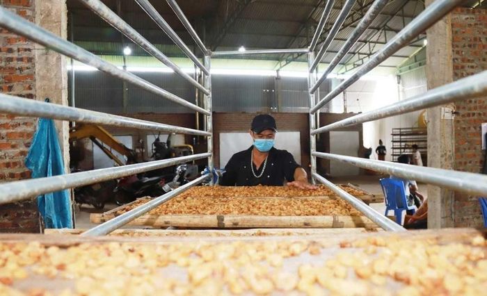 Sản phẩm chế biến cũng được chứng nhận nhãn hiệu 'Long nhãn Hưng Yên'.