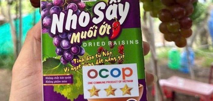 Các sản phẩm chế biến từ nho của HTX Thái An đạt chứng nhận OCOP, góp phần khẳng định chất lượng, nâng cao giá trị thương hiệu và phát huy hiệu quả của sở hữu trí tuệ trong phát triển kinh tế tập thể.