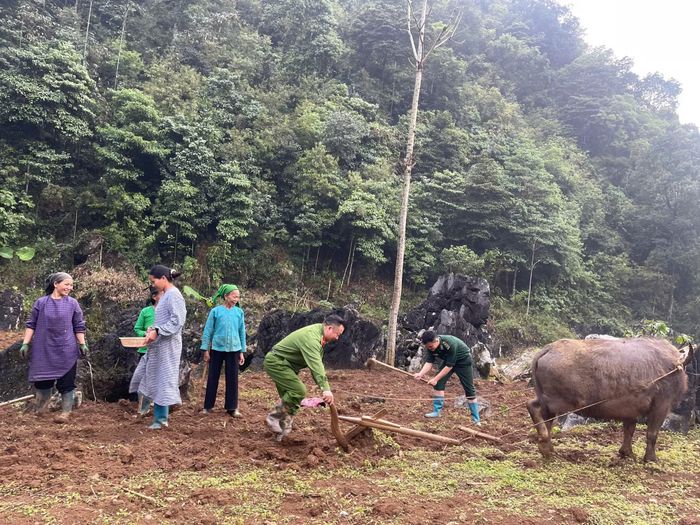 Vào mùa vụ, cán bộ Công an, Biên phòng xuống xóm giúp dân làm nương rẫy.