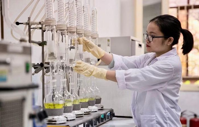 Việt Nam cần xây dựng mạng lưới nhân tài toàn cầu để thúc đẩy phát triển khoa học công nghệ và đổi mới sáng tạo.