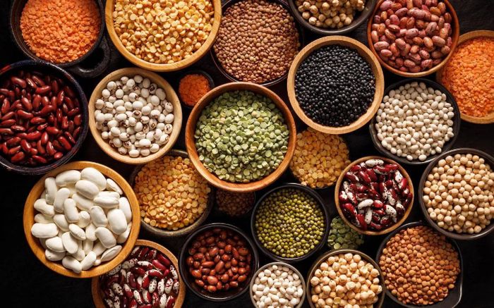 Đậu chứa nhiều chất xơ có khả năng lên men trong đường ruột, giúp làm giảm quá trình tổng hợp cholesterol tại gan