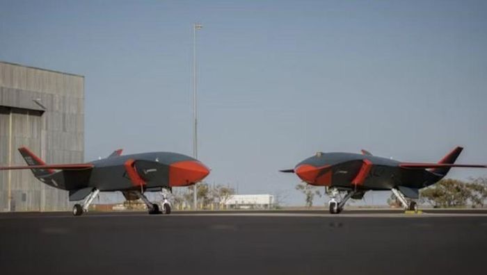 Australia hiện đã tiếp nhận 8 máy bay không người lái MQ-28 Block 1 tiền sản xuất. Boeing đang chế tạo phiên bản Block 2 trước khi phát triển Block 3 với kích thước lớn hơn, tầm bay xa hơn và khoang vũ khí trong thân có thể mang tên lửa đối không tầm trung AIM-120 AMRAAM hoặc bom dẫn đường GBU-39/B.