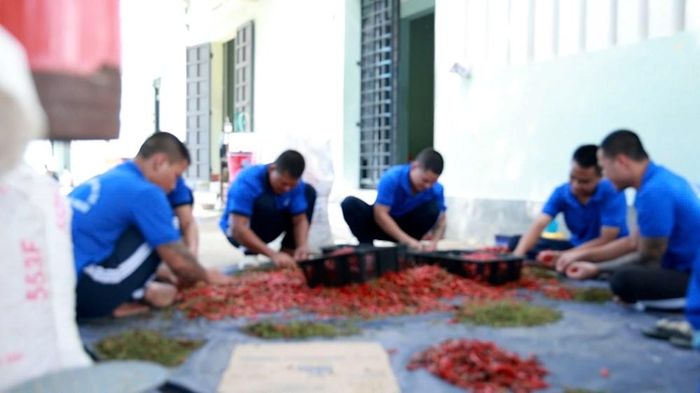 Hoạt động lao động trị liệu giúp học viên rèn luyện kỹ năng, hình thành lối sống tích cực trong quá trình cai nghiện