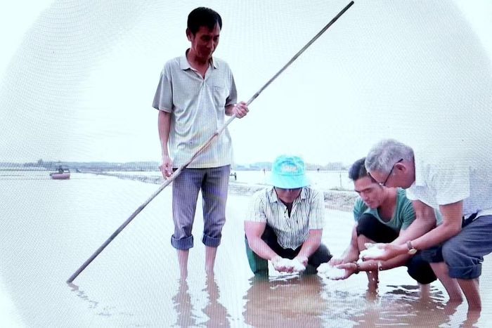Chính quyền xã Đông Hải (tỉnh Cà Mau) kiểm tra thực tế đồng muối bị thiệt hại do mưa trái mùa gây ra cho người dân địa phương hồi cuối tháng 2/2026. (Ảnh: CTV)