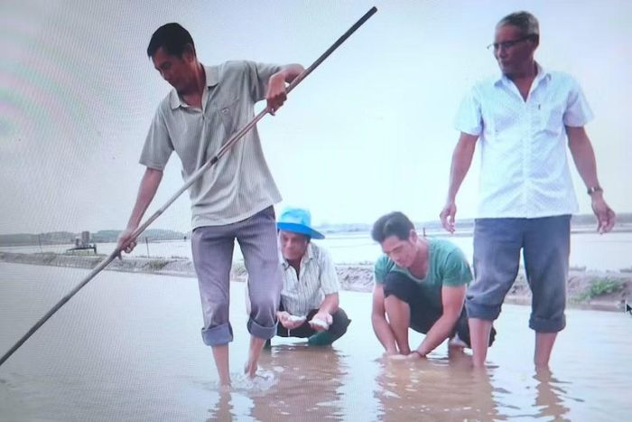 Nước mưa làm ngọt hóa độ mặn, khiến lượng lớn muối đang kết tinh trên đồng bị hòa tan, thất thoát. (Ảnh: CTV)