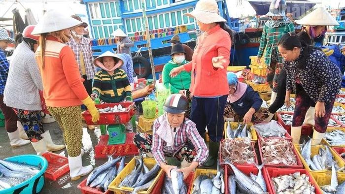 Khu vực cảng cá Đông Hải nhộn nhịp mua bán hải sản sau một lượt tàu khai thác cập bến.