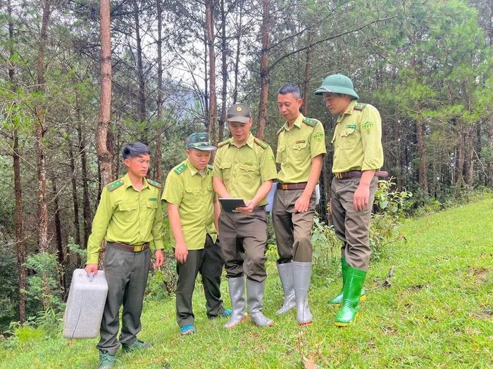 Ban quản lý Khu bảo tồn thiên nhiên Mường La ứng dụng công nghệ trong quản lý, bảo vệ rừng. (Ảnh: MINH NGHĨA)