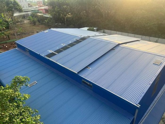 Theo đó, anh Nhật đã đầu tư xây dựng hai khu chuồng rộng hàng trăm m2 và nuôi khoảng 200 con chồn hương, chủ yếu chồn sinh sản để bán giống ra thị trường.