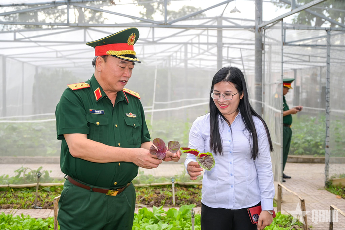 Trung tướng Lê Quang Đạo, Phó tổng Tham mưu trưởng, Trưởng đoàn kiểm tra số 3 Bộ Quốc phòng cùng lãnh đạo phường Rạch Giá, tỉnh An Giang kiểm tra tại khu tăng gia của Ban Chỉ huy Quân sự phường Rạch Giá. Ảnh: PHƯƠNG VŨ