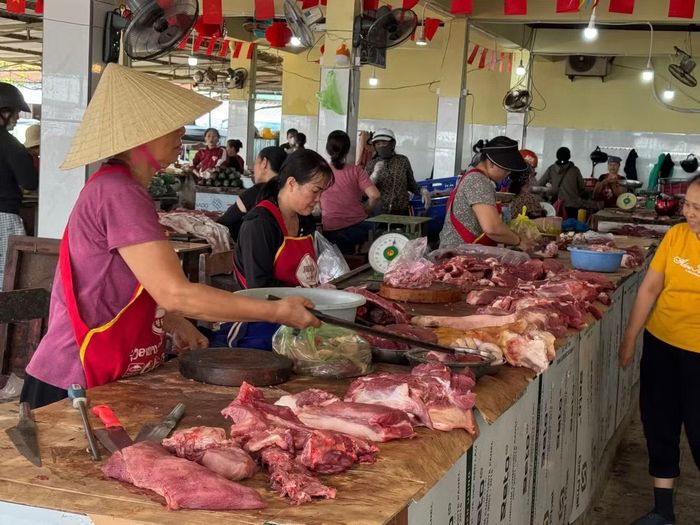 Lãnh đạo Sở NN&amp;MT tỉnh Quảng Trị khẳng định, không hợp thức hóa cho sai phạm.