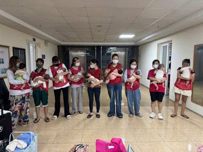 Các cháu bé thời điểm được Cục Cảnh sát hình sự - Bộ Công an phối hợp với Công an tỉnh Ninh Bình giải cứu liên quan đường dây mang thai hộ vì mục đích thương mại. (Ảnh: CACC).