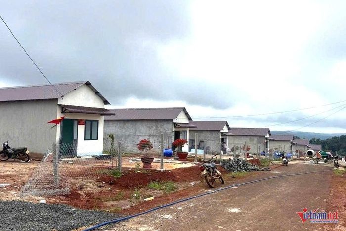 Một số gia đình đang sửa sang lại sân vườn. Ảnh: Hải Dương