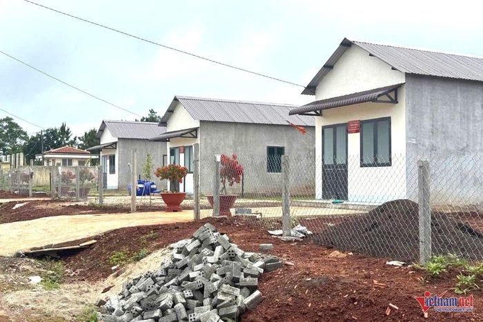 Một số gia đình đã trồng hoa trong sân. Ảnh: Hải Dương