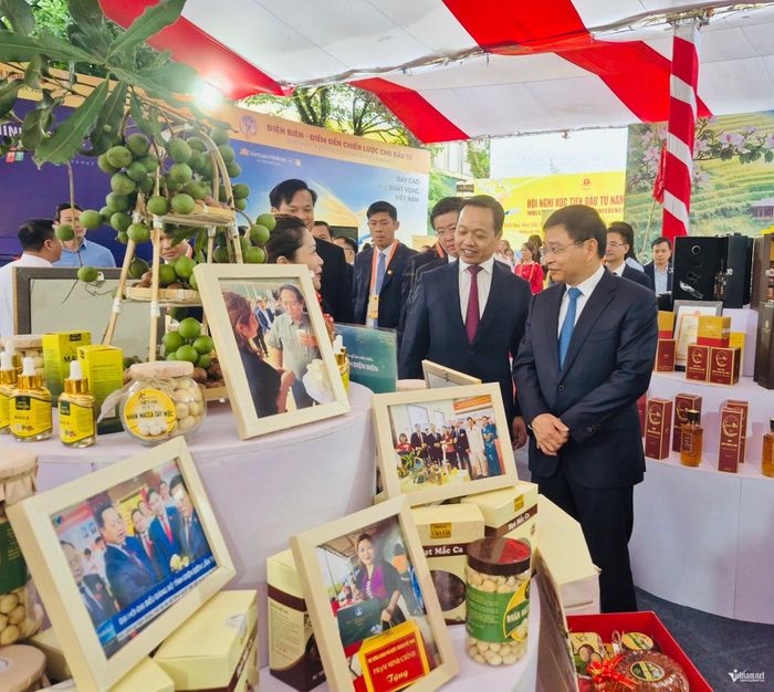 Phó Thủ tướng Nguyễn Văn Thắng tham quan gian trưng bày mắc ca tại Hội nghị xúc tiến đầu tư tỉnh Điện Biên năm 2026.
