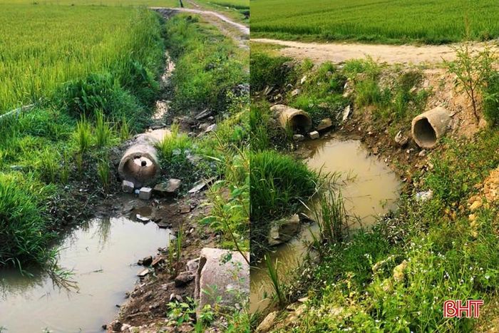  Theo phản ánh của người dân, các hạng mục chính của công trình đã cơ bản hoàn thành và đưa vào sử dụng. Tuy nhiên, hệ thống dẫn và phân phối nước từ cống T21 vào các tuyến kênh nội đồng chưa được đầu tư đồng bộ. Do thiếu các hạng mục kết nối này, nguồn nước từ kênh Ngàn Trươi đã được dẫn về đến cống nhưng không thể phân phối đến các thửa ruộng theo thiết kế, khiến nhiều diện tích sản xuất thường xuyên rơi vào tình trạng thiếu nước tưới (Ảnh do người dân cung cấp trước thời điểm sản xuất lúa hè thu năm 2026). 