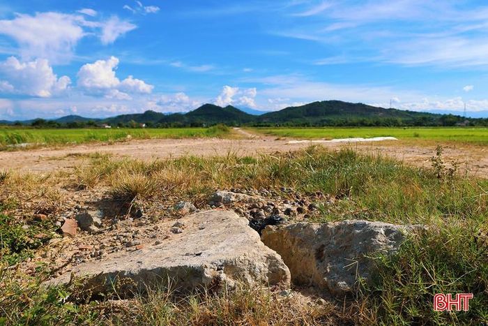 Qua trao đổi, người dân địa phương bày tỏ mong muốn sớm có tuyến kênh phụ để điều tiết nước hợp lý và đề xuất các cơ quan có thẩm quyền sớm hoàn trả, khôi phục chất lượng tuyến đường gần kênh T21 sau khi thi công hoàn thành.