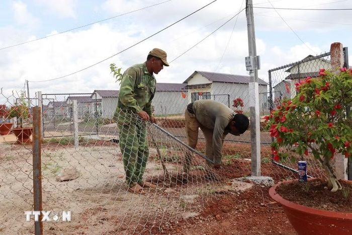 Người dân dựng hàng rào, chỉnh trang khuôn viên nhà ở để ổn định cuộc sống tại nơi ở mới trong điểm dân cư liền kề chốt dân quân biên giới bon Bu Dăr, xã Quảng Trực (tỉnh Lâm Đồng). (Ảnh: Nguyễn Huy Thành/TTXVN)
