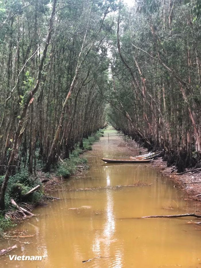 (Nguồn: Vietnam+)