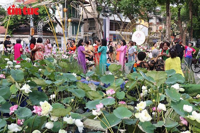 Không gian trưng bày sen tại lễ hội được thiết kế gần gũi, giàu bản sắc truyền thống.