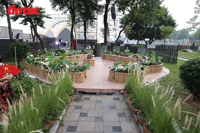 Khu trưng bày “Sen - Tinh hoa và đời sống” giới thiệu nhiều giống sen đặc sắc.