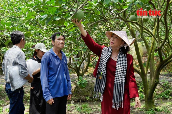 Ứng dụng công nghệ và chuẩn hóa sản xuất đang giúp nâng cao năng lực cạnh tranh của nông sản Việt Nam trên thị trường quốc tế.