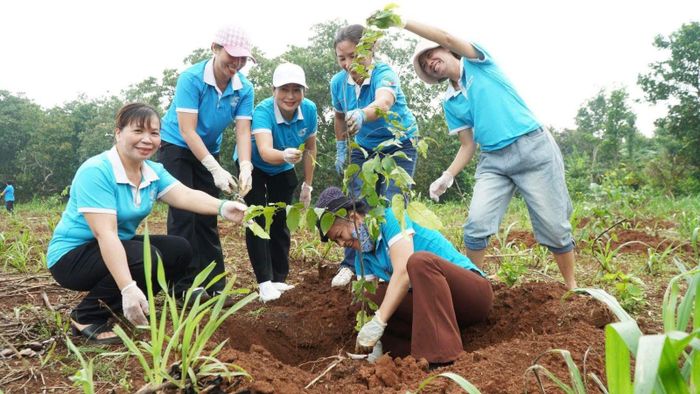 Các địa phương ra quân trồng thêm nhiều cây xanh để bảo vệ môi trường.